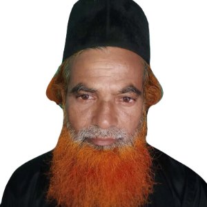 মাওলানা খালিদ বিন ওয়ালীদ